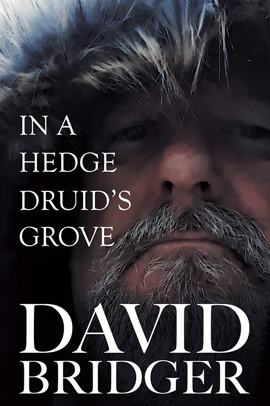 In a Hedge Druid's Grove (Paperback)