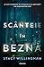 Scânteie în beznă