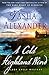 A Cold Highland Wind (Lady Emily Mysteries #17)