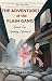 The Adventures of the Flash Gang by M.M. Downing