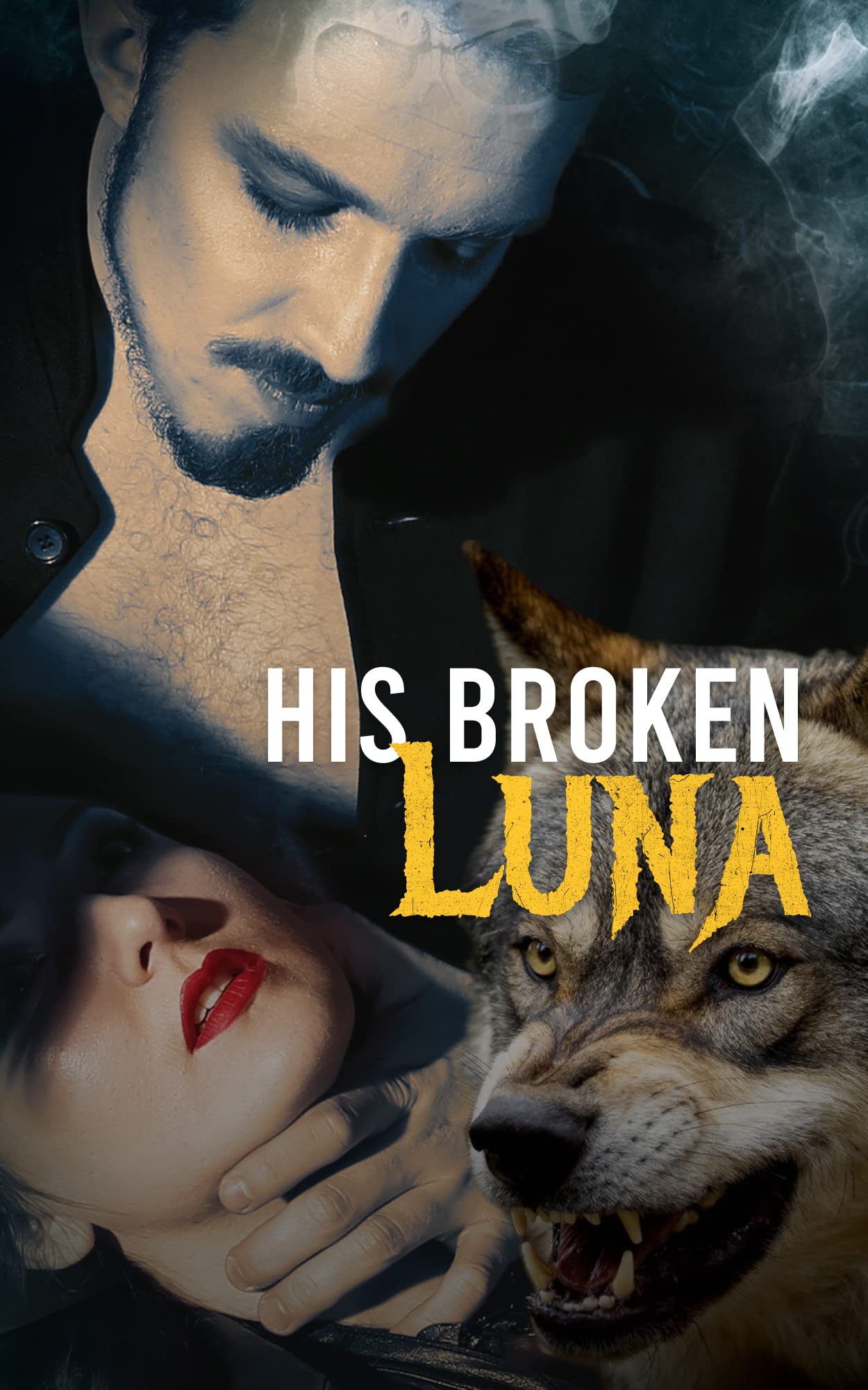 His Broken Luna (Kindle Edition)