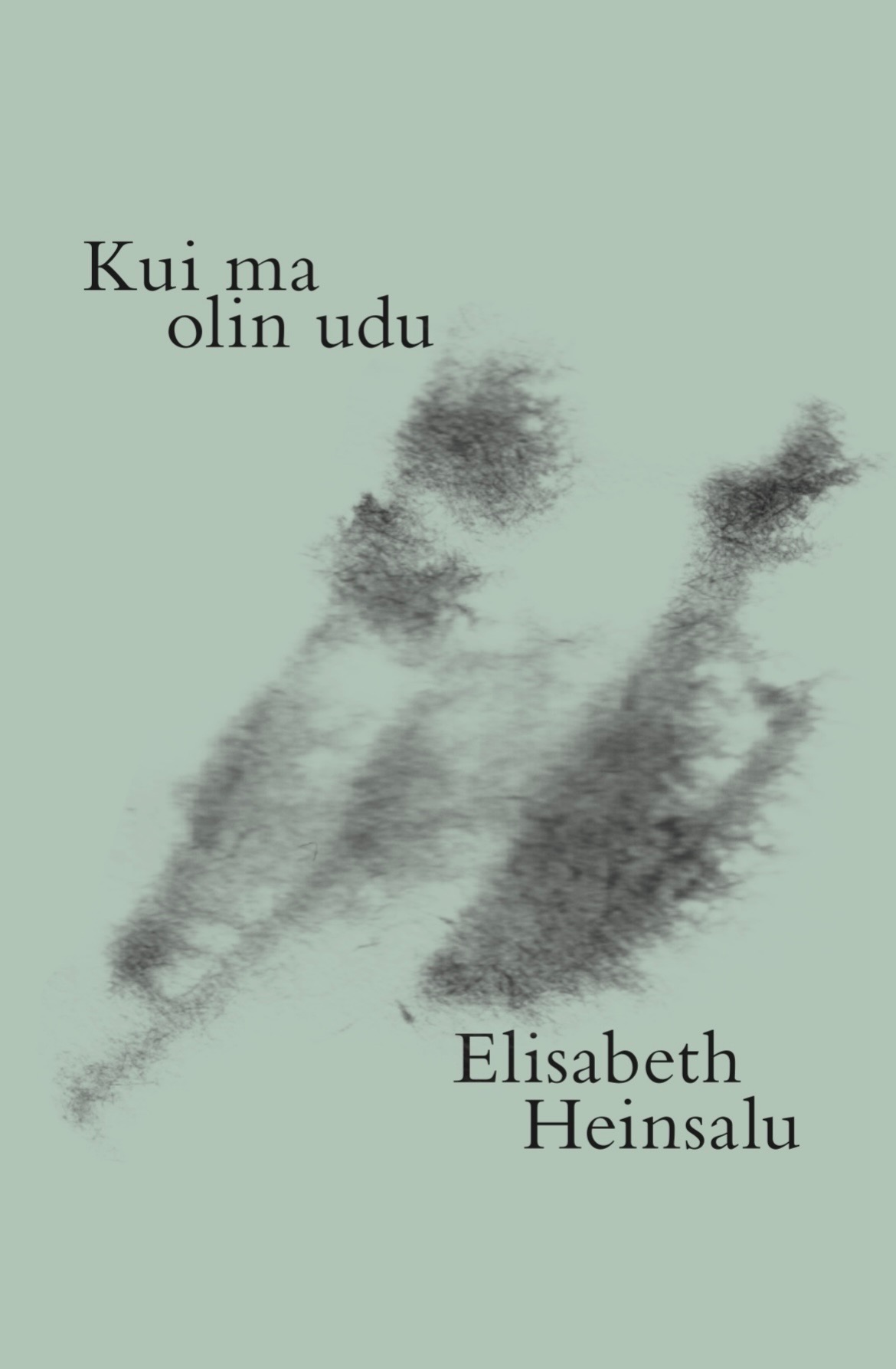 Kui ma olin udu (Paperback)