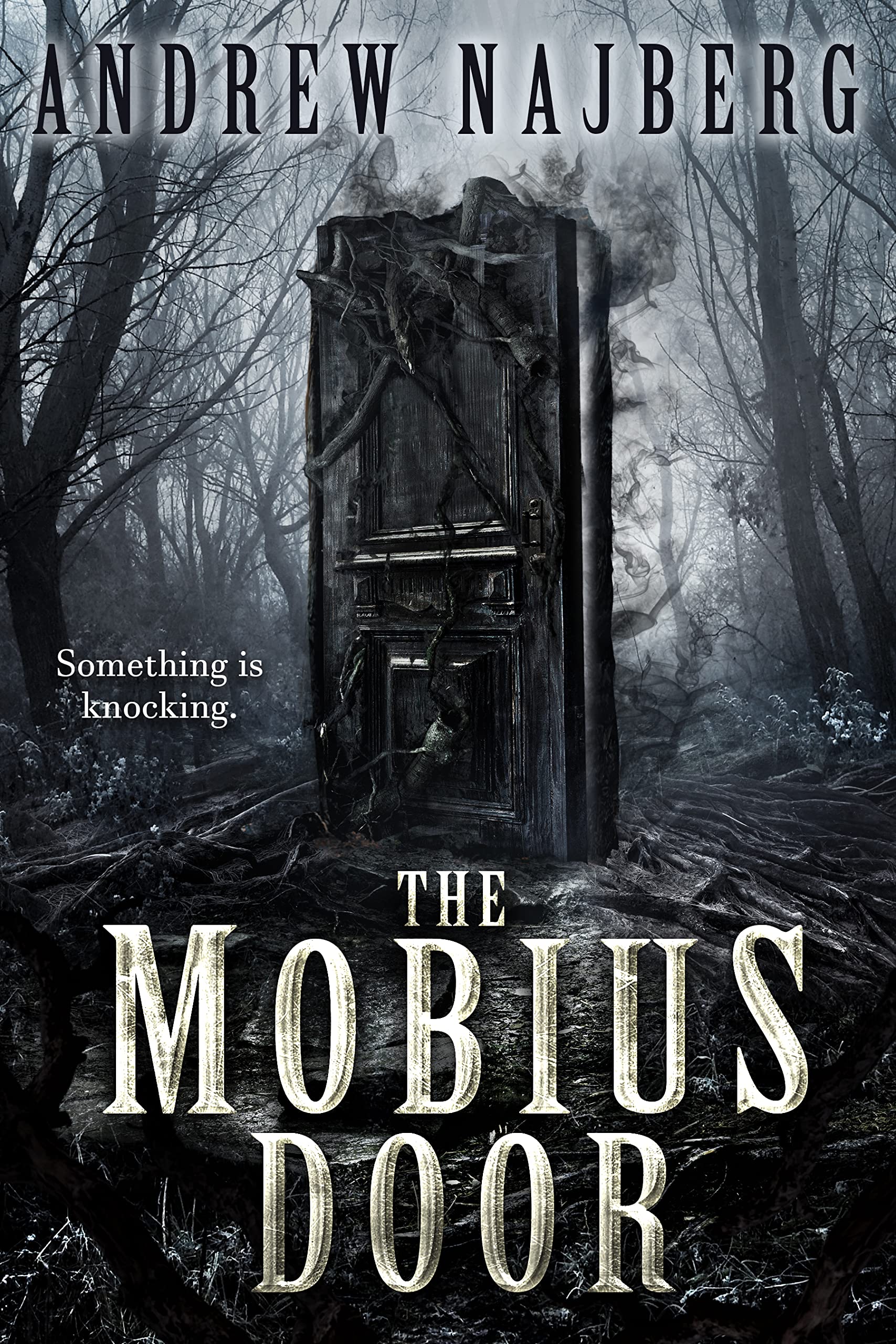 The Mobius Door (Kindle Edition)