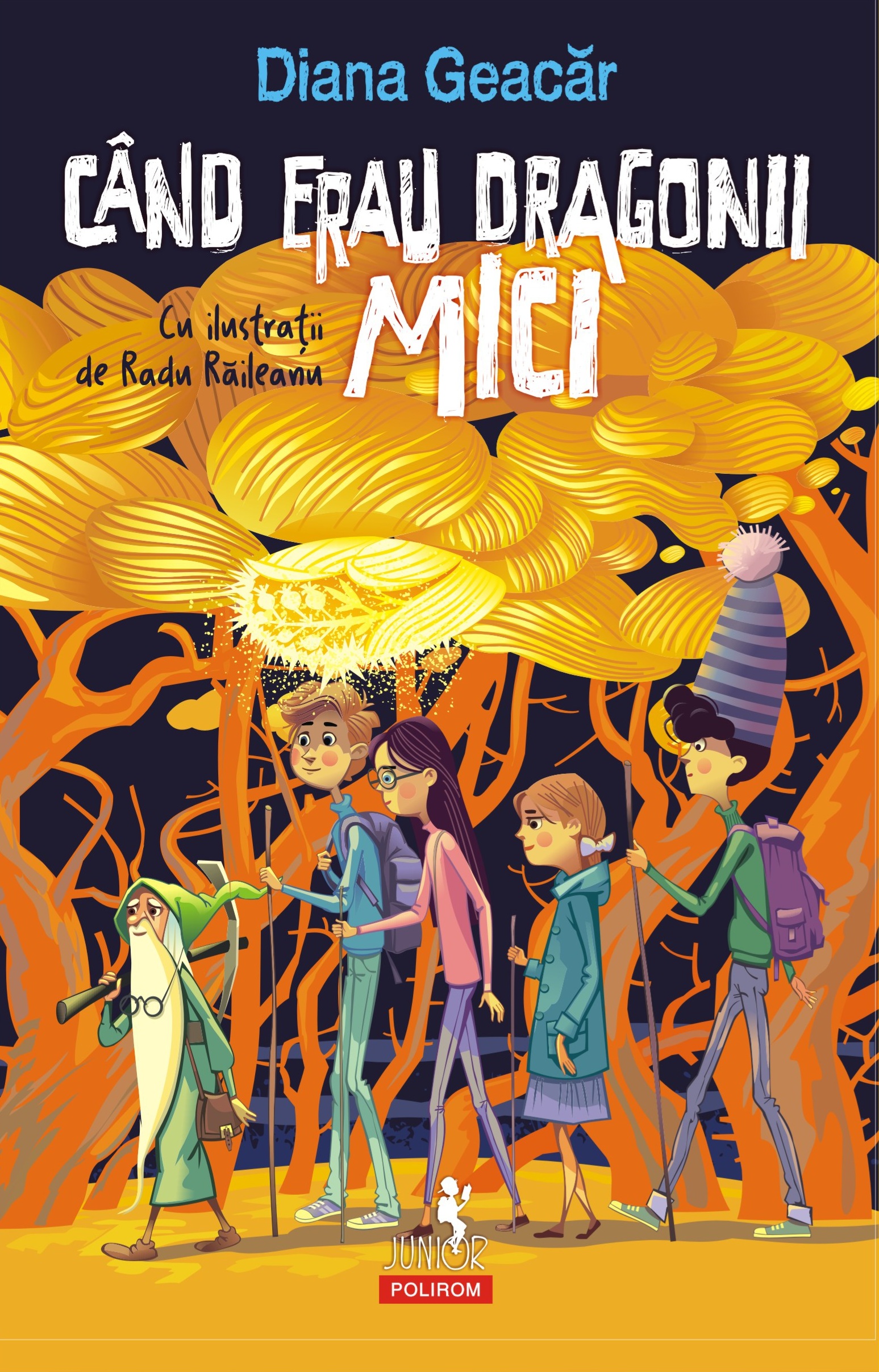 Când erau dragonii mici (Paperback)