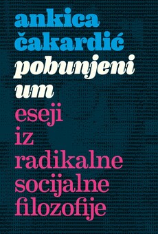 Pobunjeni um: eseji iz radikalne socijalne filozofije