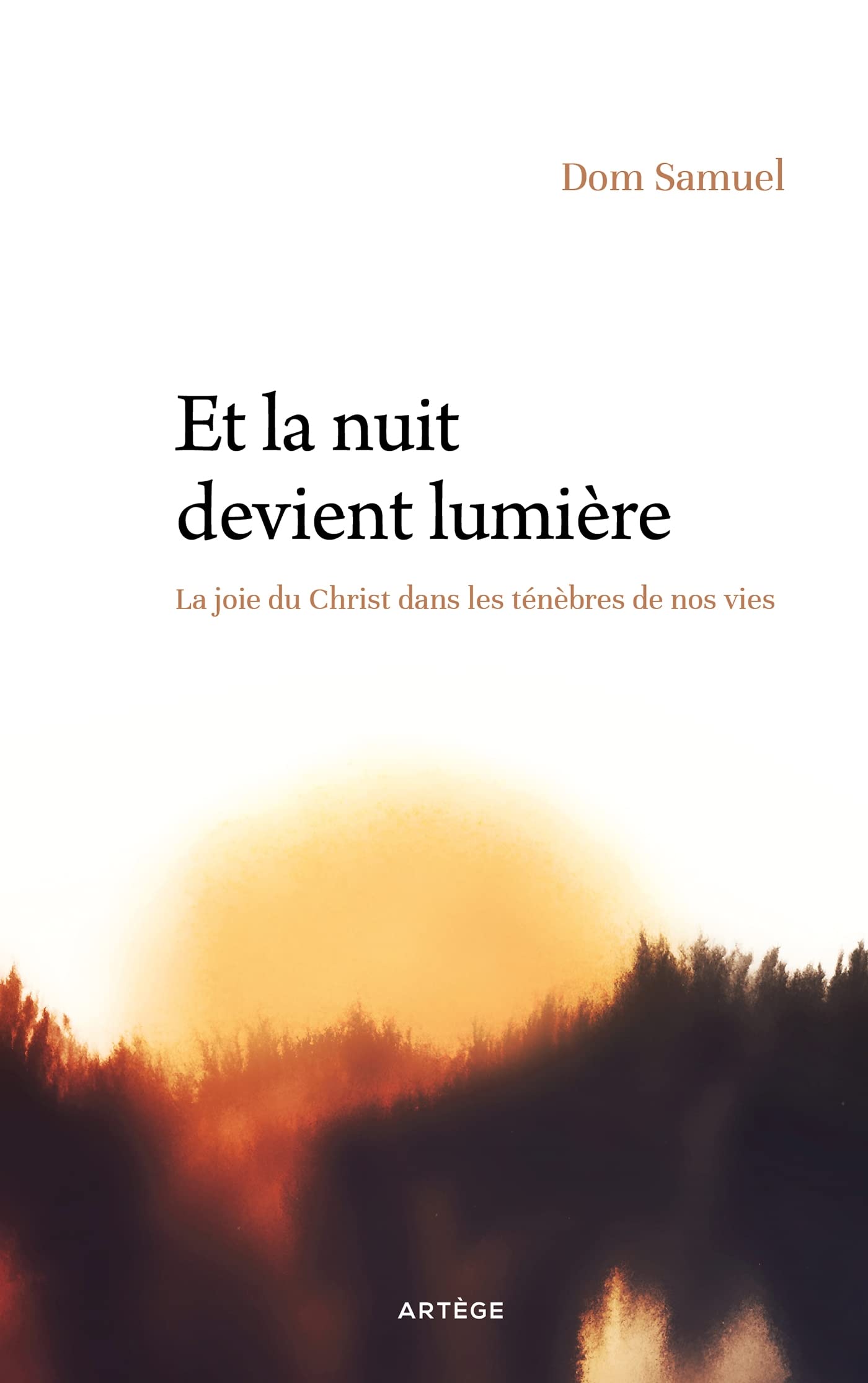 Et la nuit devient lumière : La joie du Christ dans les ténèbres de nos vies (Kindle Edition)
