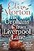 The Orphans from Liverpool Lane (Liverpool Orphans Trilogy)