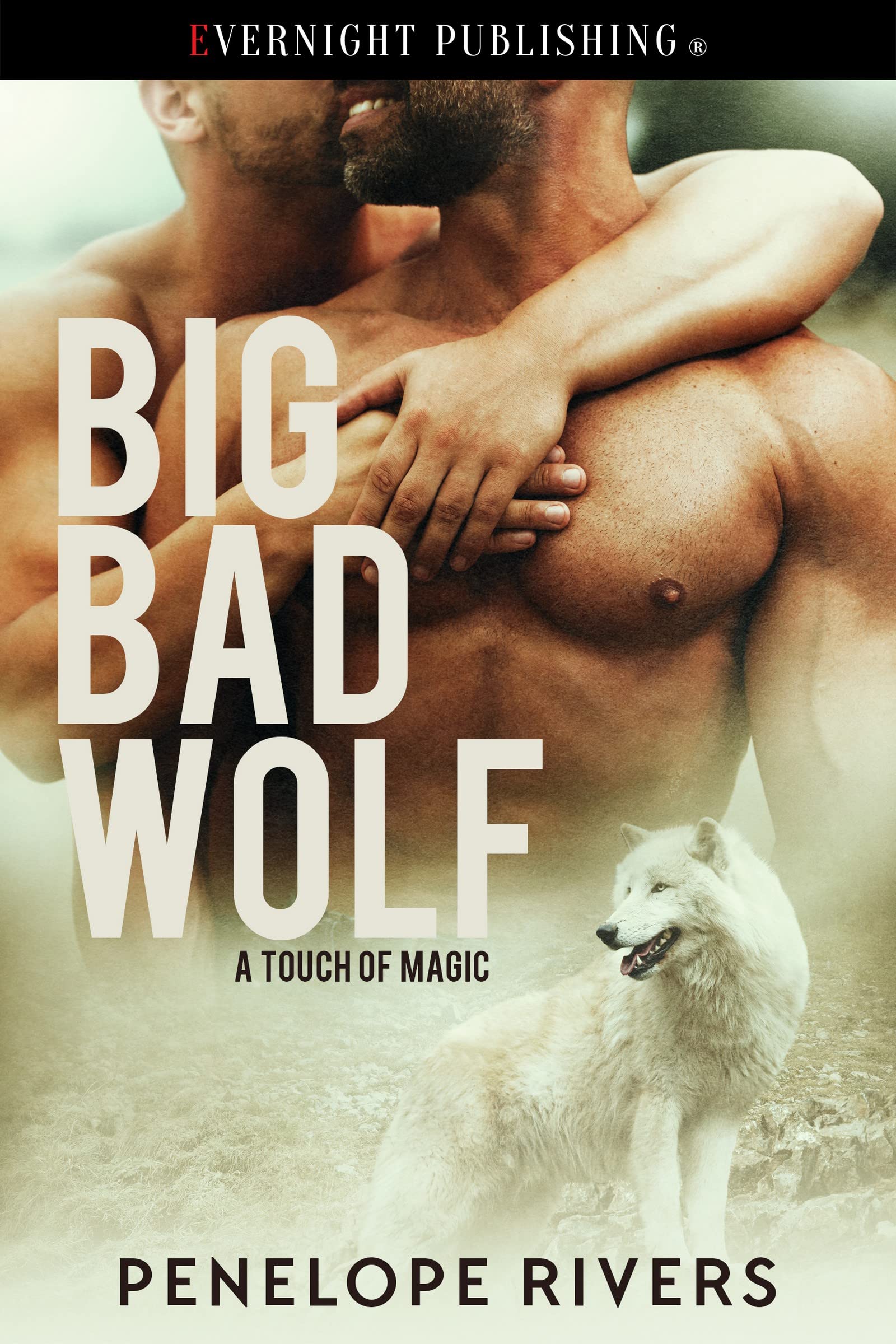 Big Bad Wolf (A Touch of Magic Book 1)