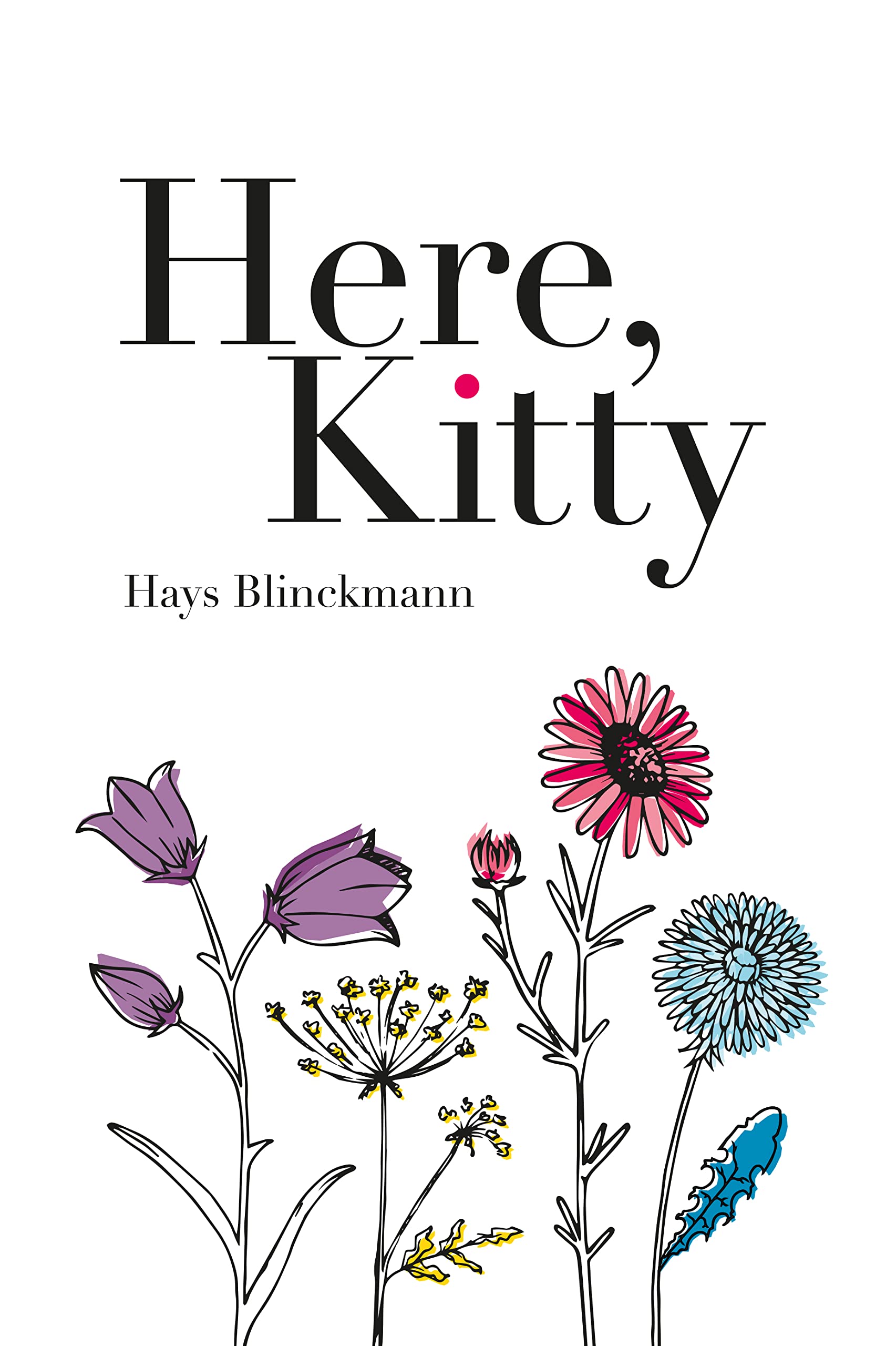 Here, Kitty (Kindle Edition)