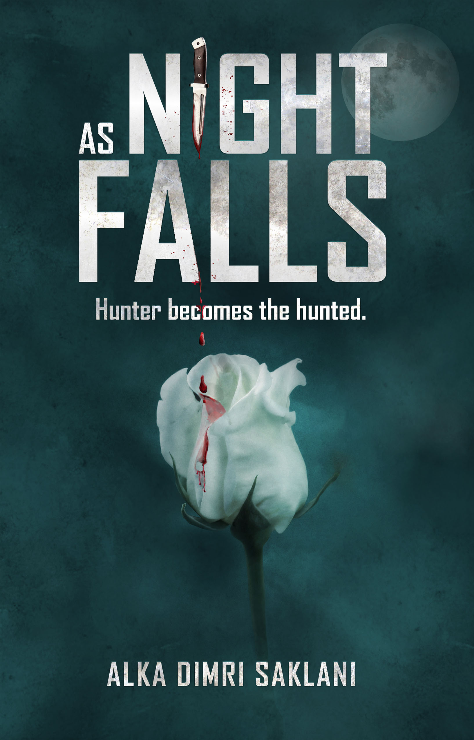 As Night Falls (Kindle Edition)