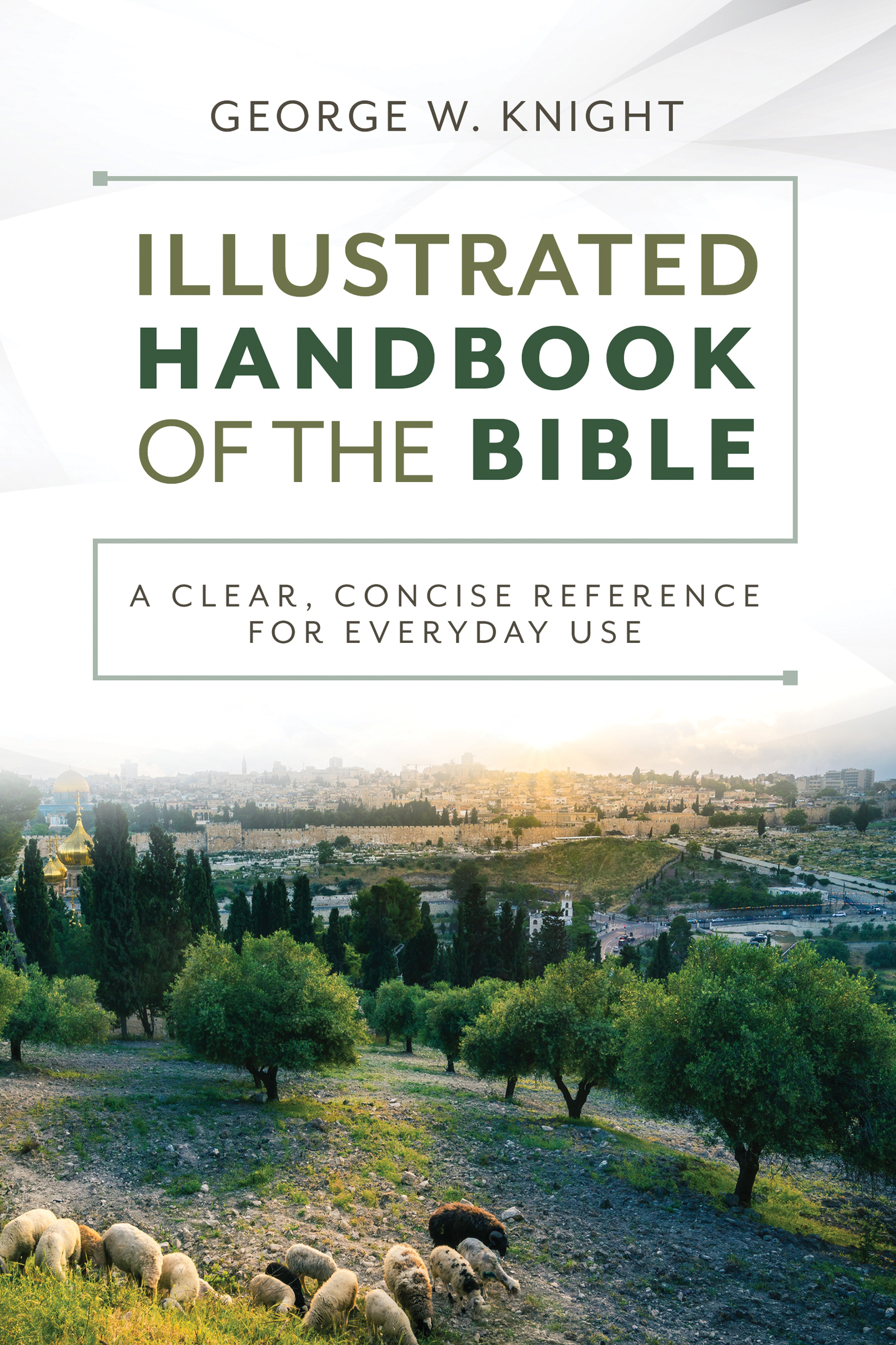 The Illustrated Handbook of the Bible: A Clear, Concise Reference for Everyday Use (Paperback)