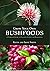 Grow Your Own Bushfoods: A ...