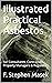 Illustrated Practical Asbestos: For Consultants, Contractors, Property Managers & Regulators