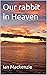 Our rabbit in Heaven (Pet H...