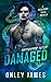 Damaged (Necessary Evils)