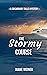 The Stormy Course by Diane Weiner
