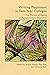 Writing Placement in Two-Year Colleges: The Pursuit of Equality in Postsecondary Education (Practice & Possibilities)