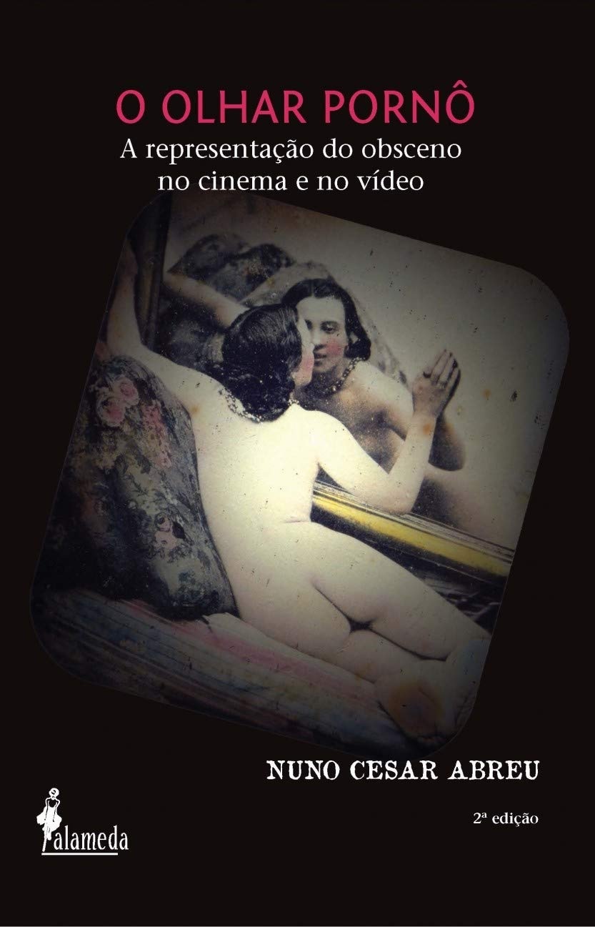 O olhar pornô: a representação do obsceno no cinema e no vídeo