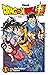 Dragon Ball Super - Tome 19 (DragonBall Super, #19)