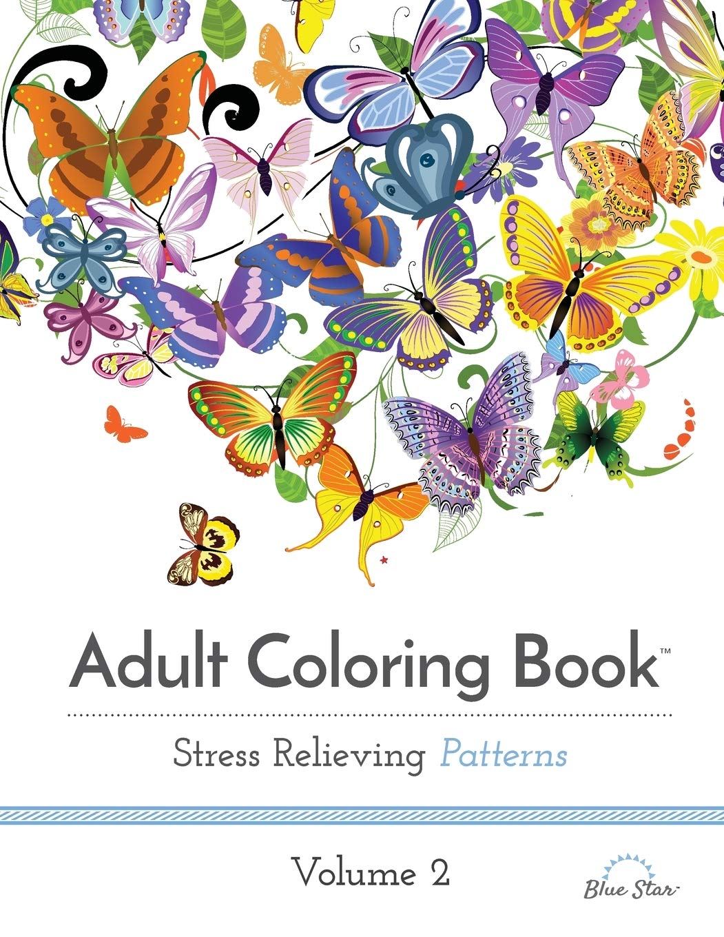 Adult Coloring Book: Stress Relieving Patterns Volume 2 (Paperback)