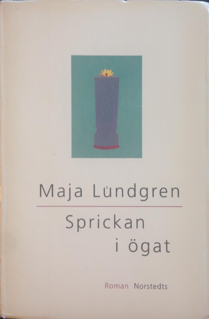 Sprickan i ögat