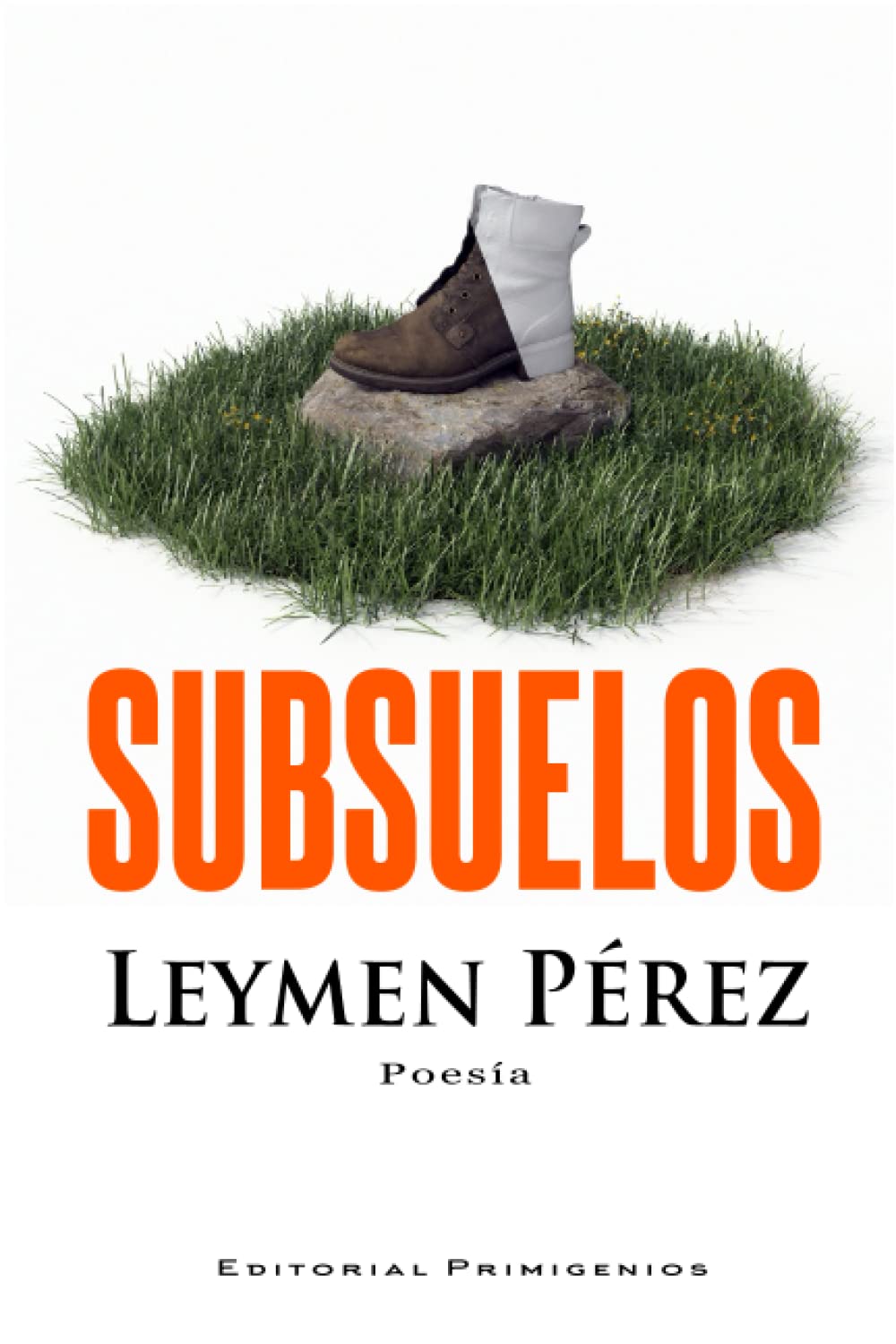 Subsuelos (Spanish Edition)
