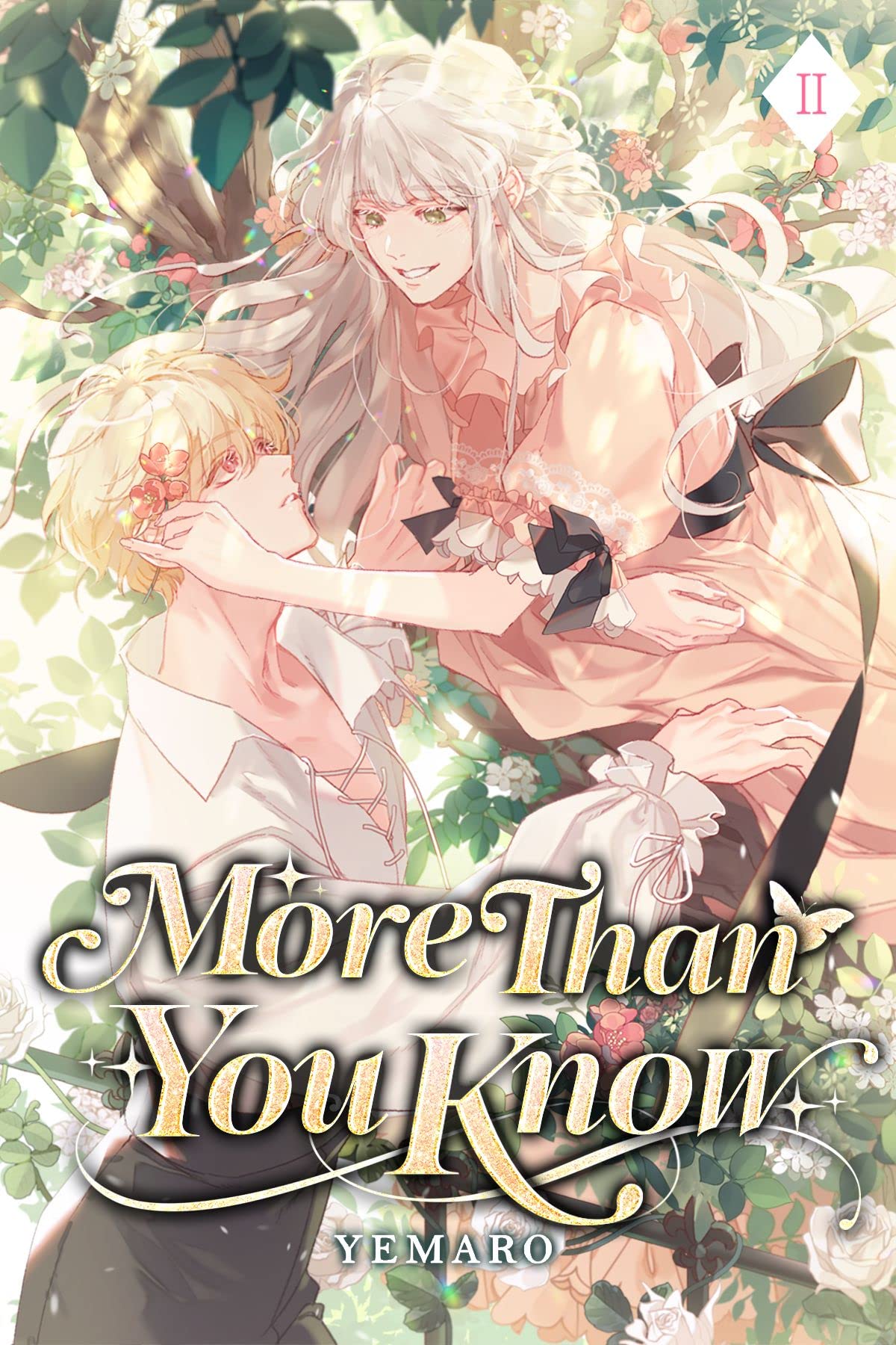 More Than You Know: Volume II (Light Novel)
