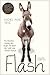 Flash: The Homeless Donkey Who Taught Me about Life, Faith, and Second Chances (Flash the Donkey)