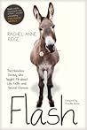 Flash: The Homele...