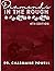 DIAMONDS IN THE ROUGH 4TH EDITION by Apostle Dr. Charmaine Powell