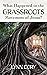 What Happened to the Grassroots Movement of Jesus? by Lynn Cory
