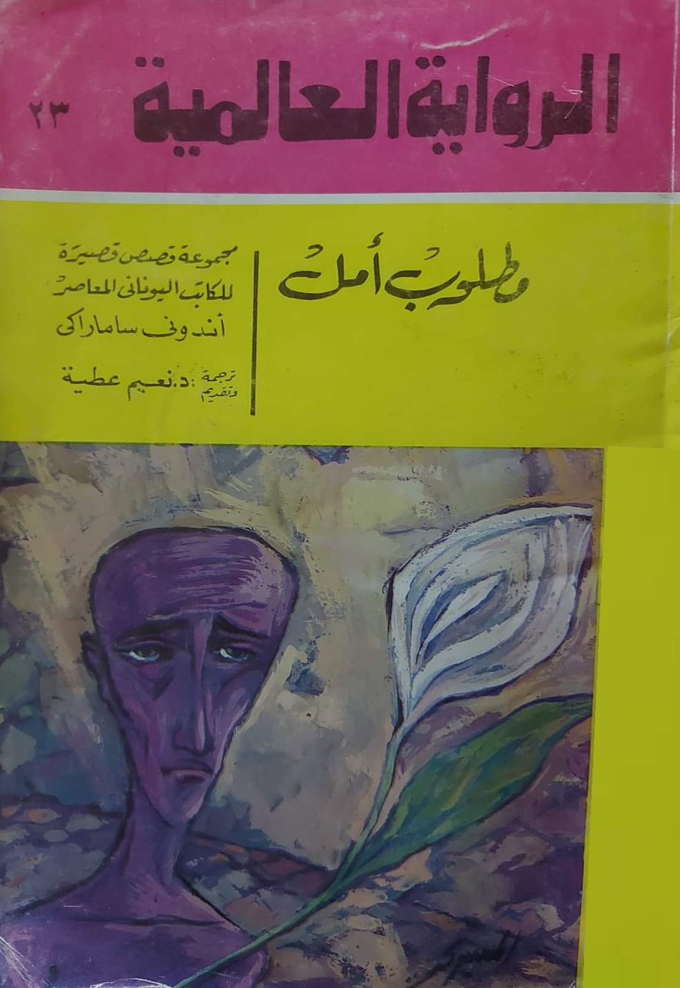 مطلوب أمل