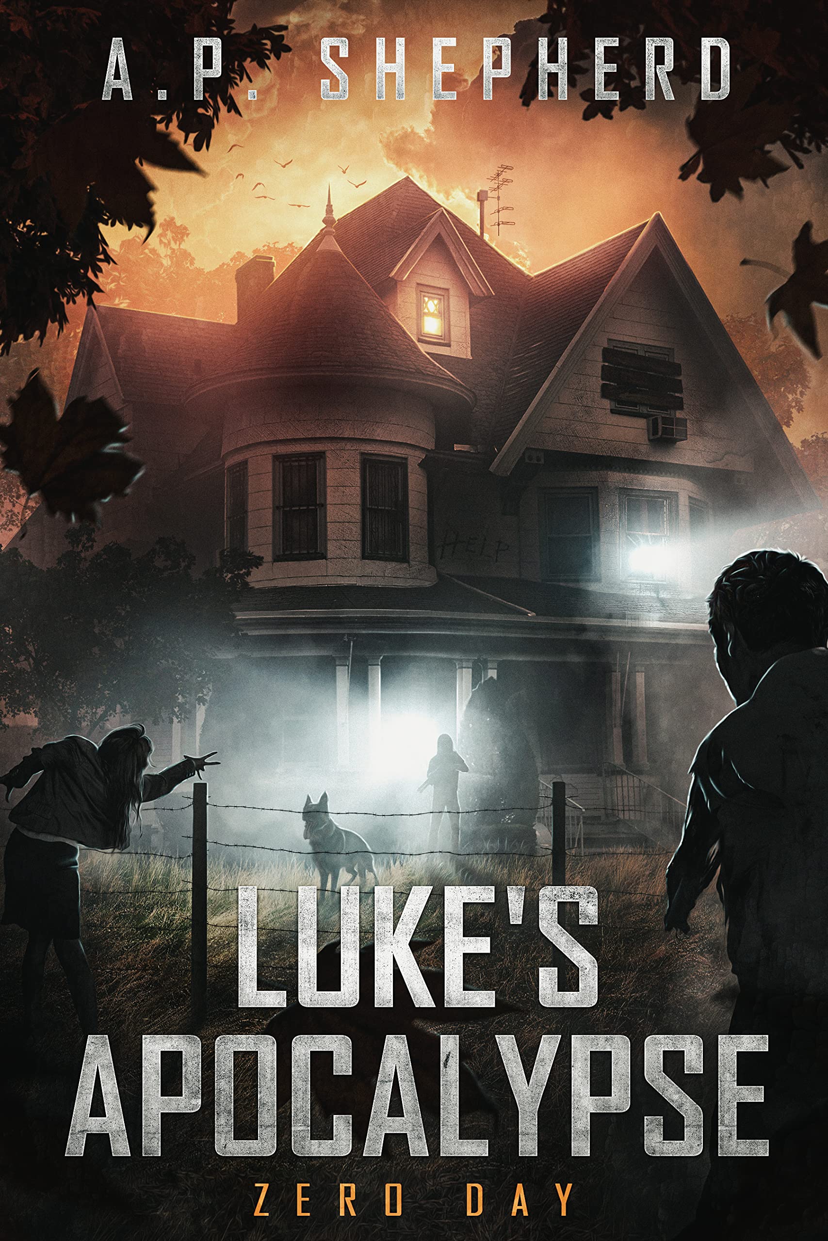 Luke's Apocalypse: Zero Day (Kindle Edition)