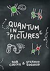 Quantum in Pictures by Bob Coecke