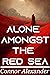 Alone Amongst the Red Sea