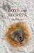 Boys with Secrets (Walsh Wa...