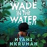 Wade in the Water by Nyani Nkrumah