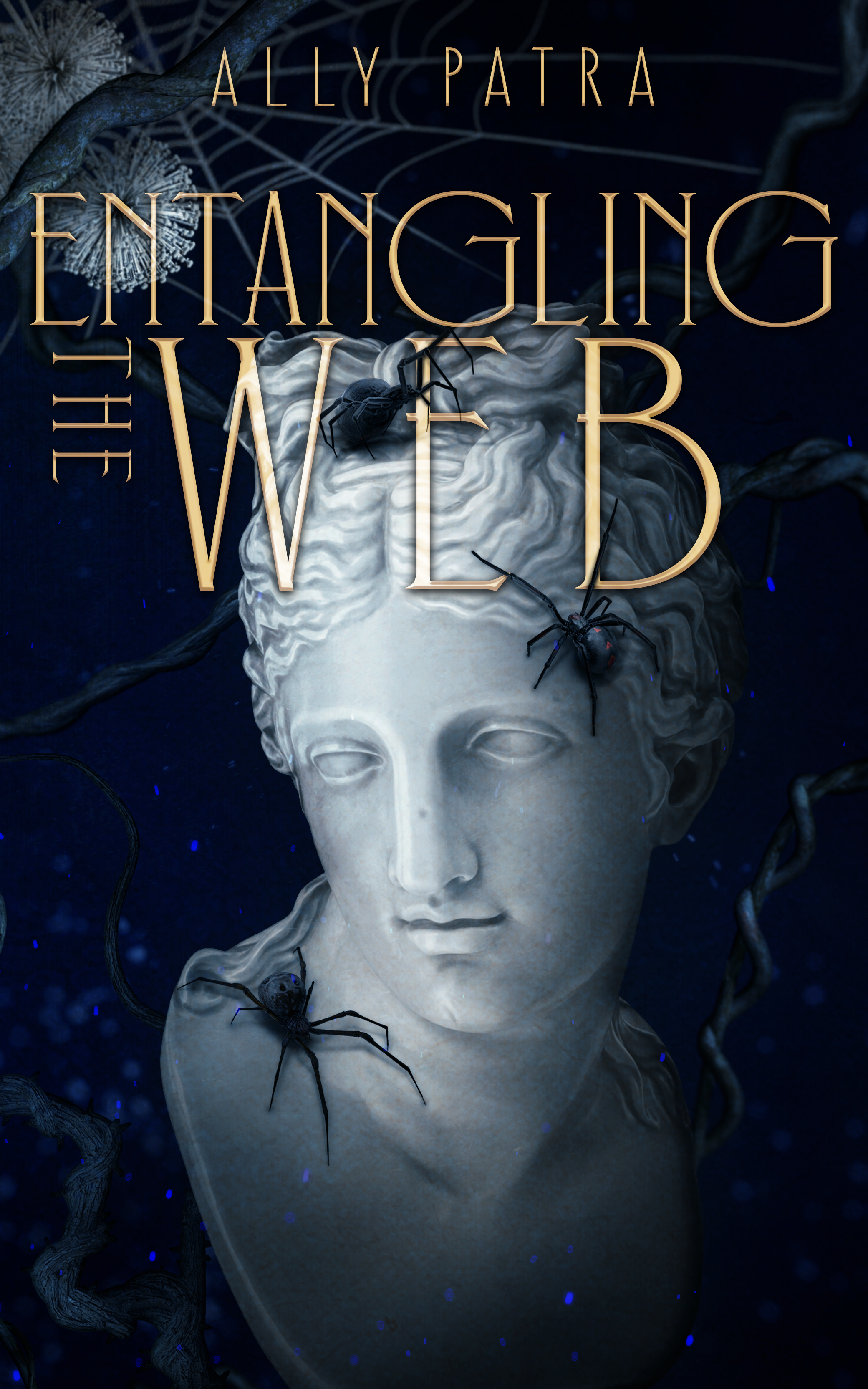 Entangling the Web (Midnight & Gold #2)