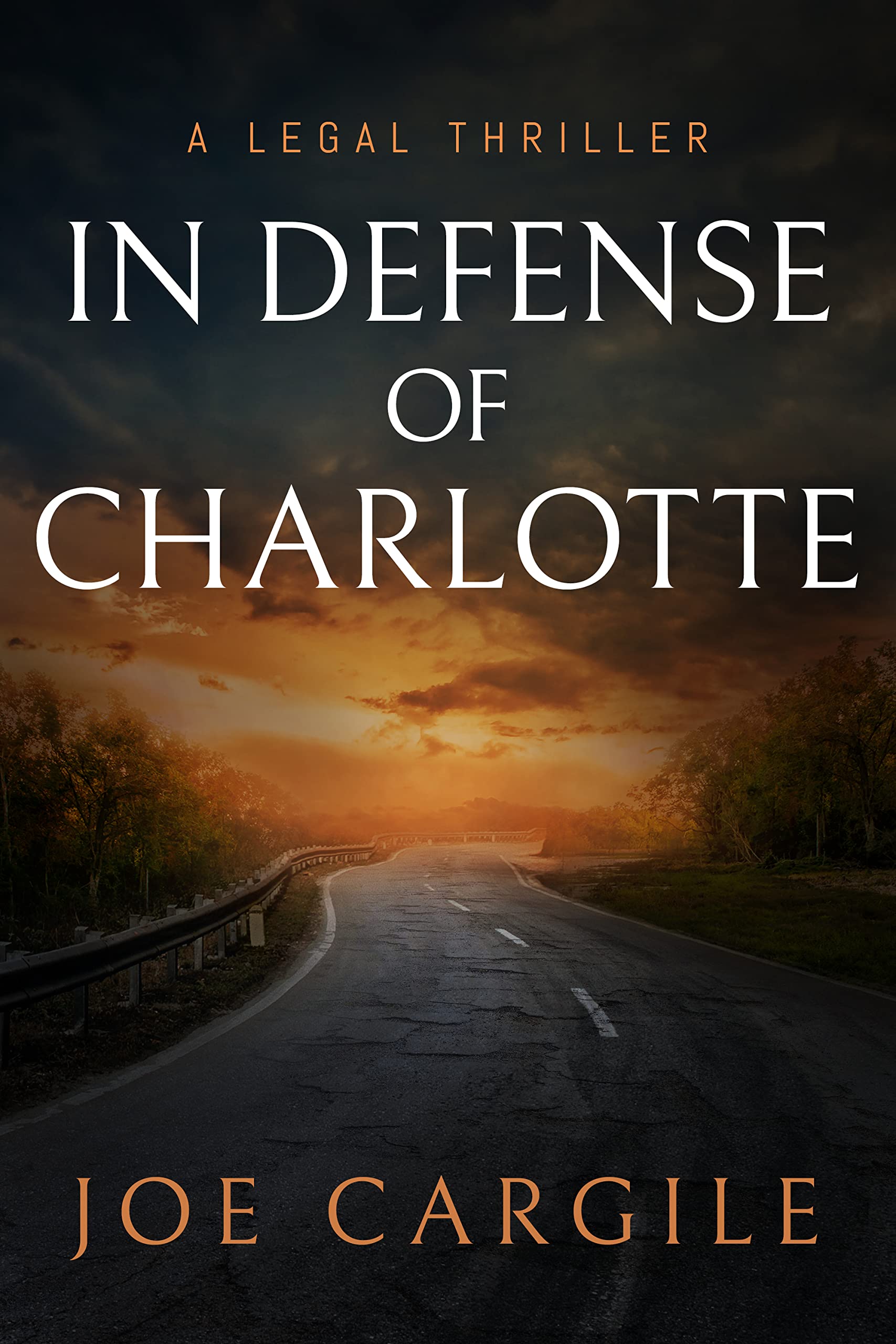 In Defense of Charlotte (Blake County Legal Thriller #2)