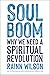 Soul Boom by Rainn Wilson