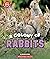 A Colony of Rabbits