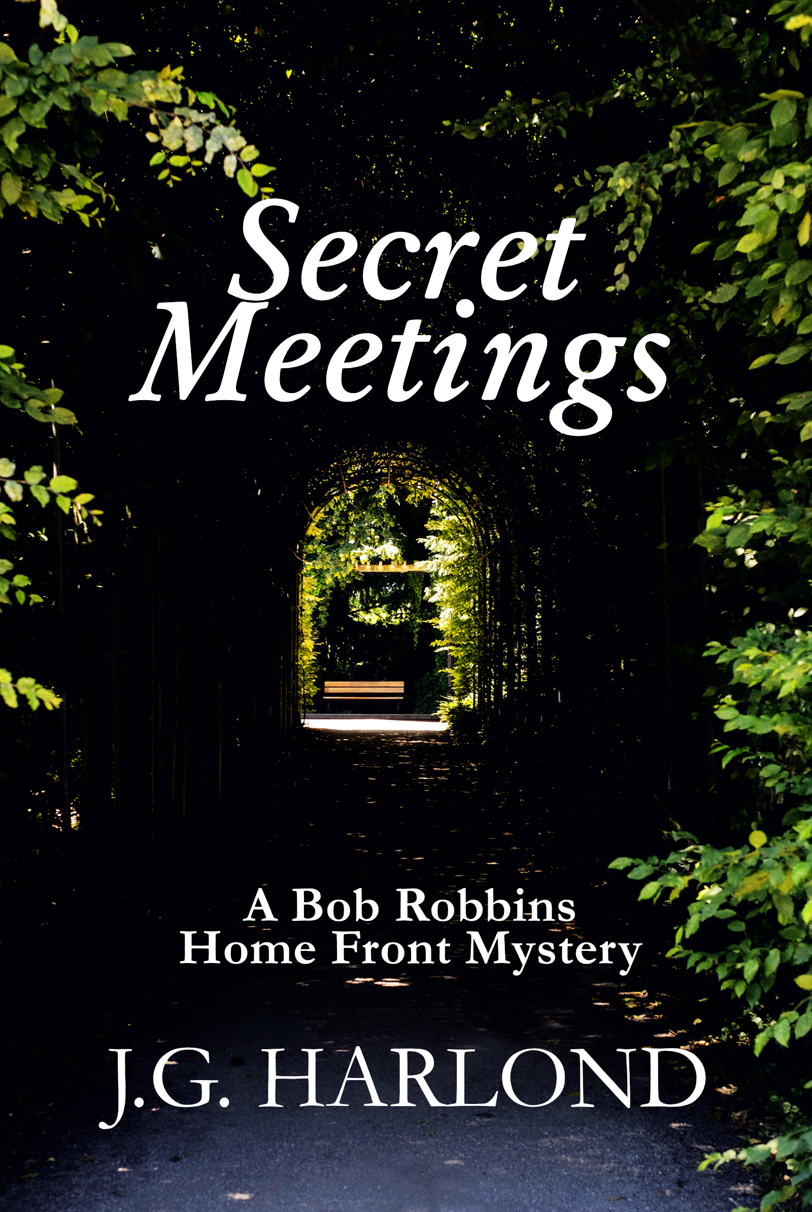 Secret Meetings (Kindle Edition)