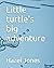 Little turtle's big adventure