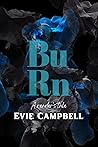BuRn: A Reader’s Tale (A Reader’s Tale, #2)