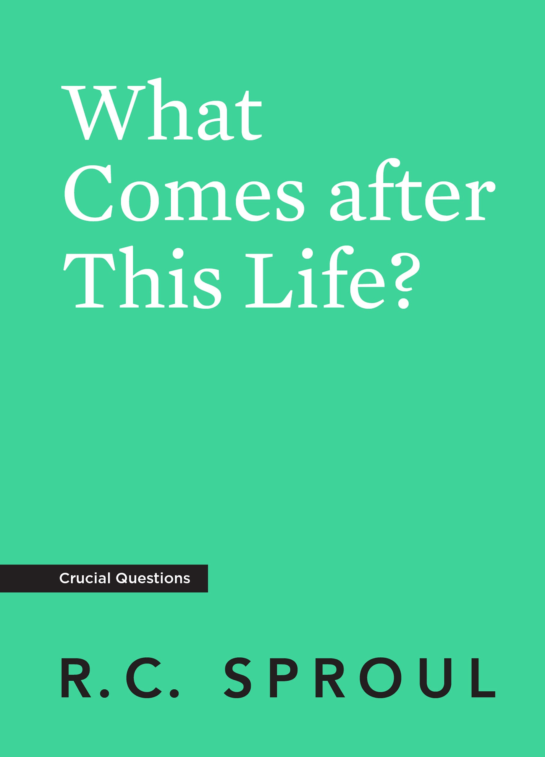 What Comes after This Life? (Kindle Edition)