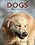 Dogs in Translation