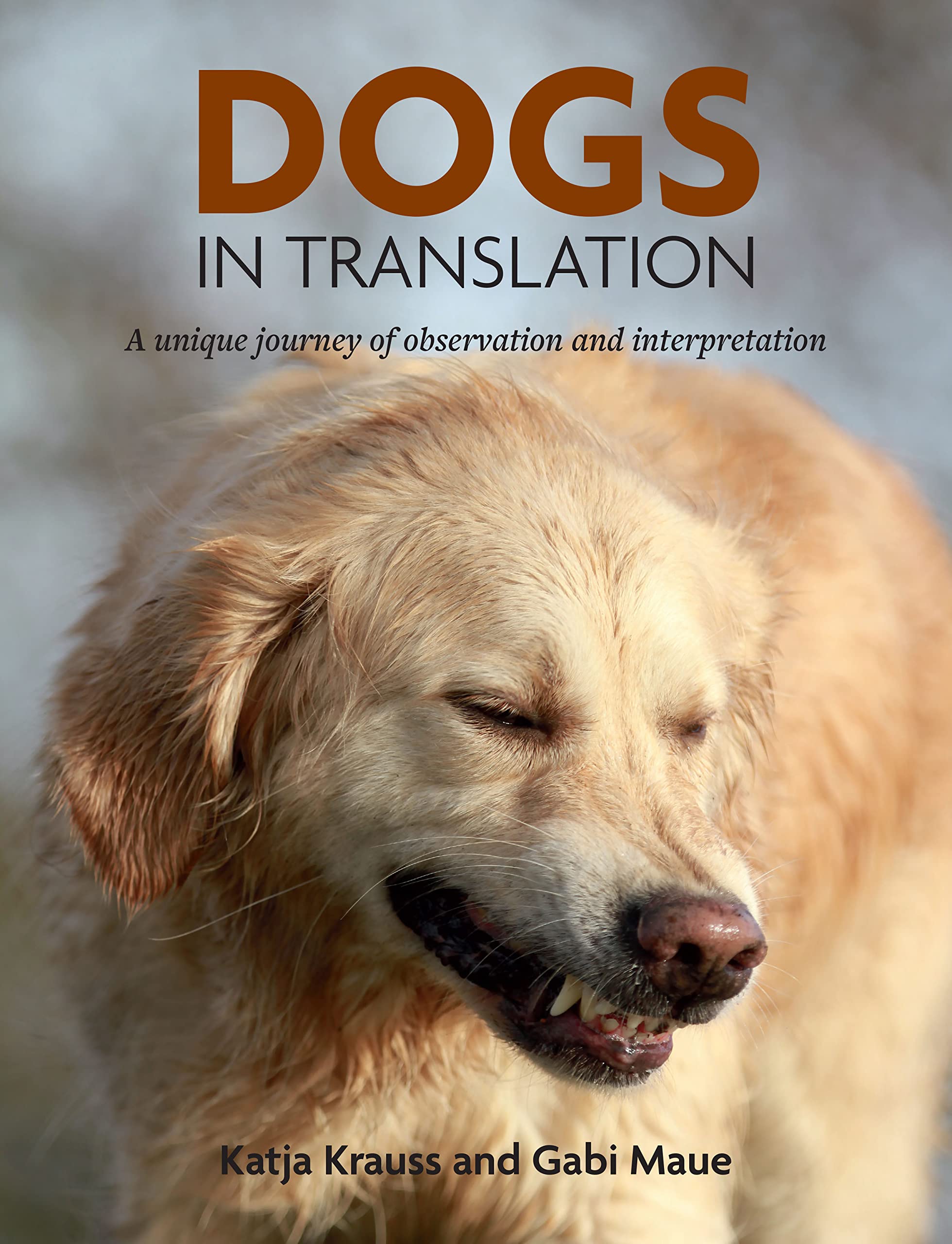 Dogs in Translation (Paperback)