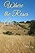 Where the Roses Are