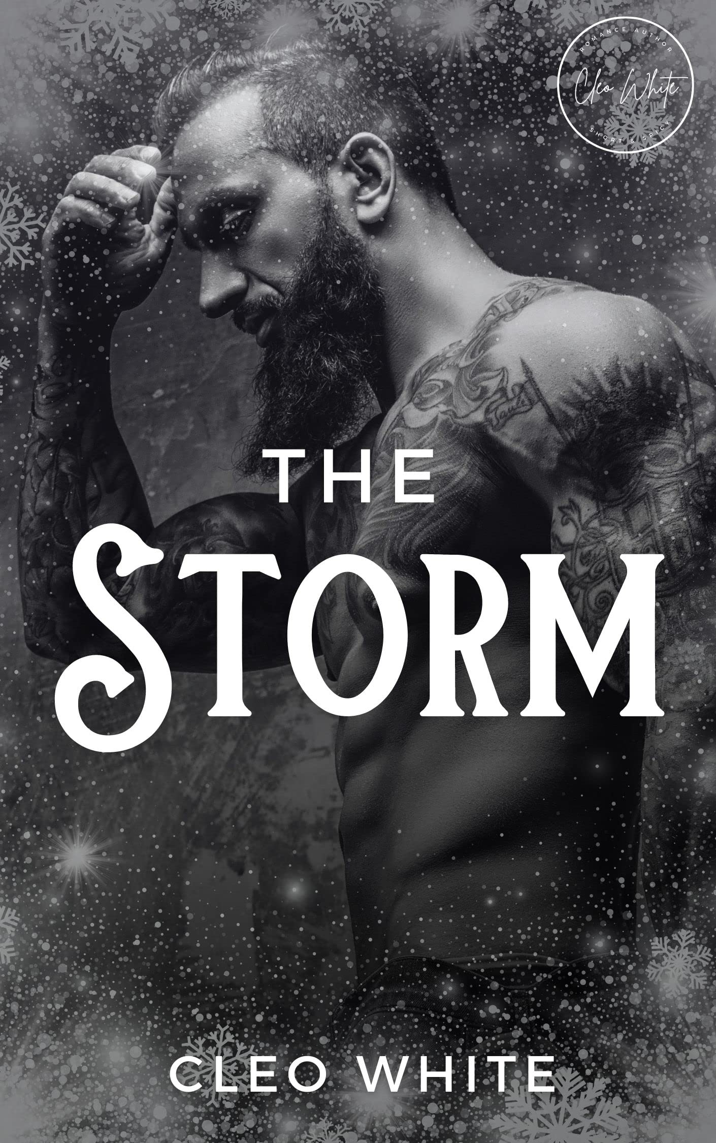 The Storm (Kindle Edition)