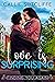 Love is Surprising: A Small...